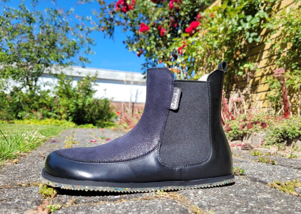 Palustria Black